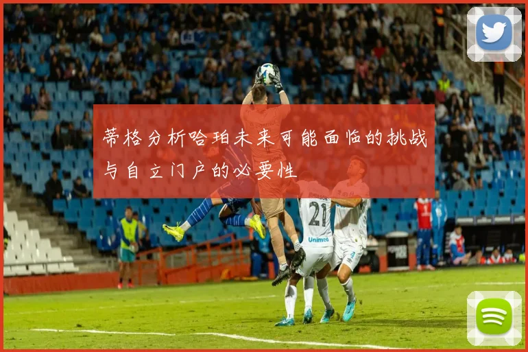蒂格分析哈珀未来可能面临的挑战与自立门户的必要性