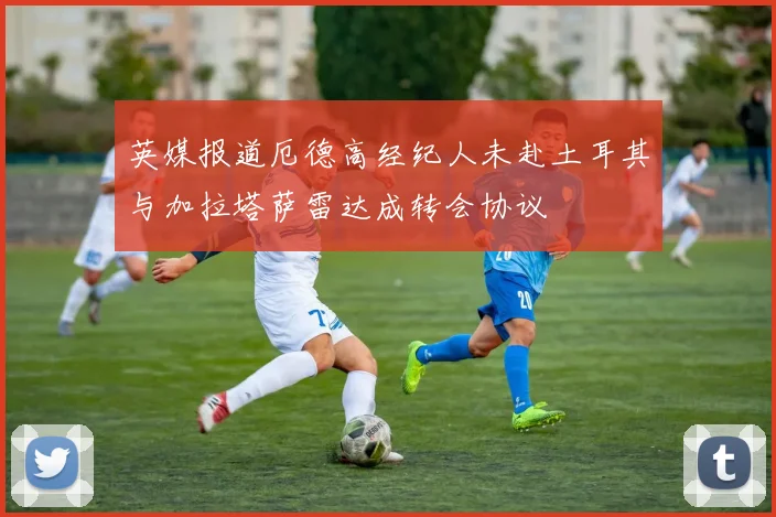 英媒报道厄德高经纪人未赴土耳其与加拉塔萨雷达成转会协议